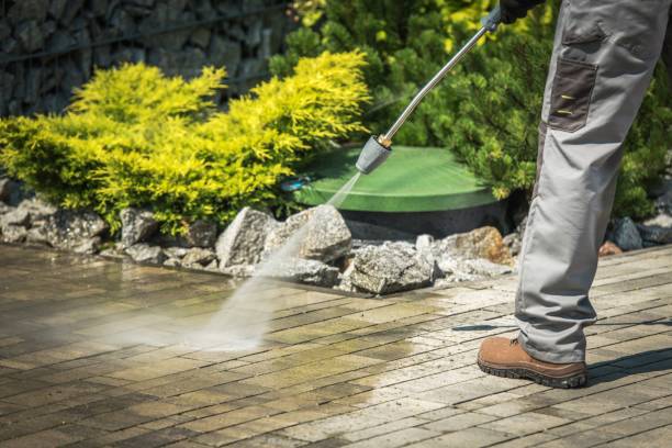 Animal Enclosure Cleaning in Redwater, TX